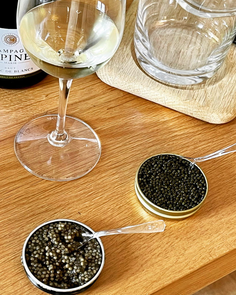 choisir caviar français épicerie fine isle-sur-la-sorgue maison moga dégustation champagne
