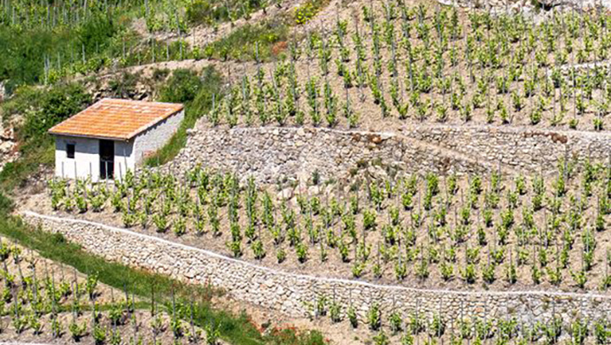 Vallée du Rhône septentrionale