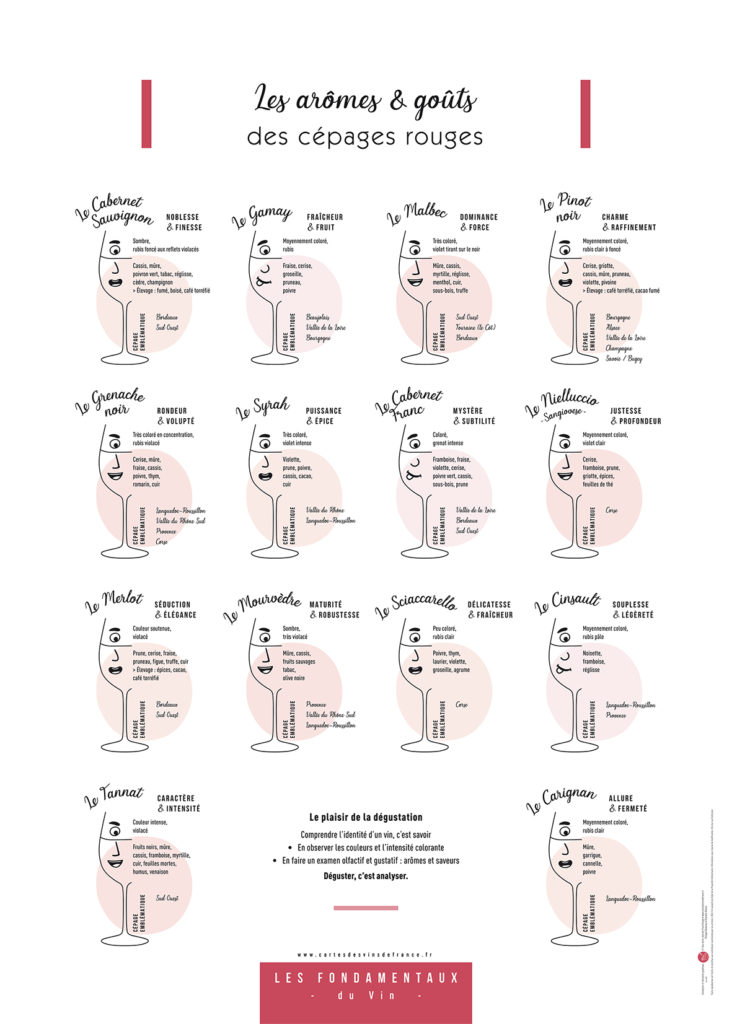 Illustration des arômes et goûts des cépages rouges