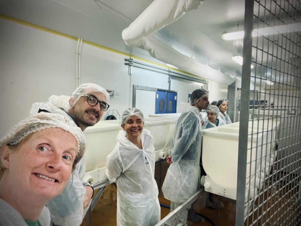 Visite du dernier producteur de Langres fermier au lait cru.