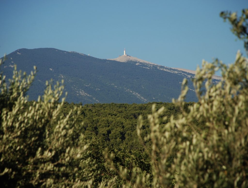 Le Vaucluse, terroir incontournable lors de la saison de la truffe