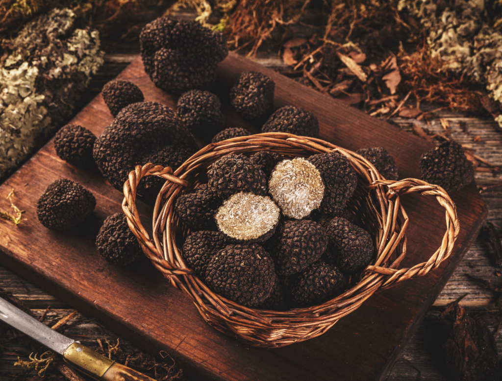 Truffe noire