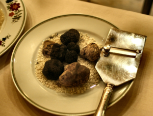 Truffes noires et truffes blanches