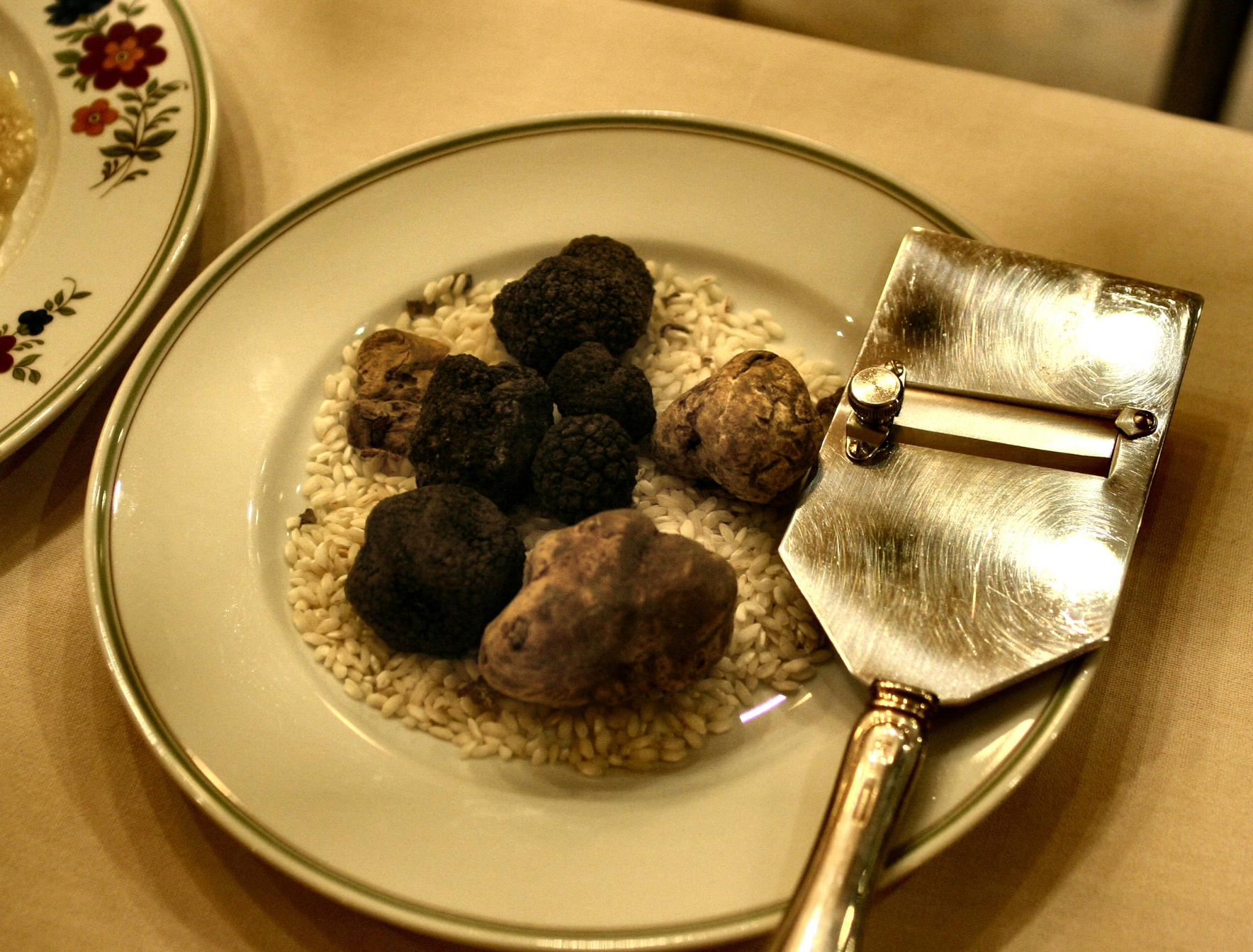 Truffes noires et truffes blanches