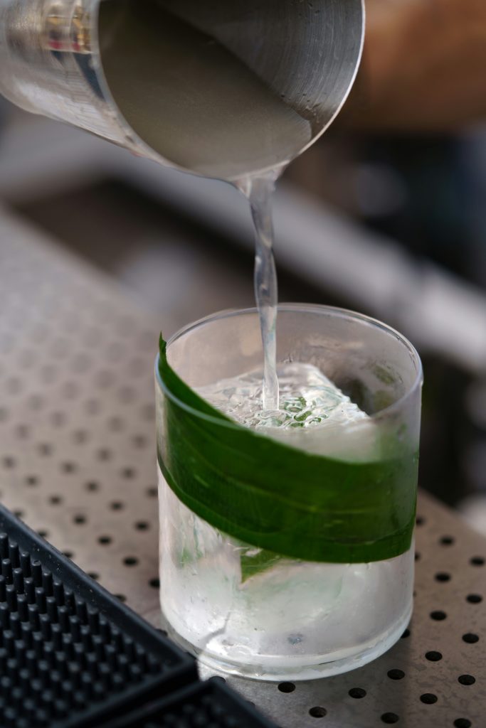 Déguster un gin sur glace
